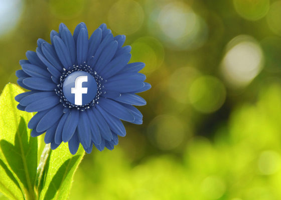 Facebook Launches Mobile-Only Ads