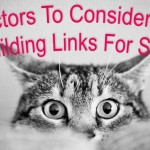 Cat with 10 factors to consider when building SEO links