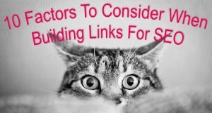 Cat with 10 factors to consider when building SEO links