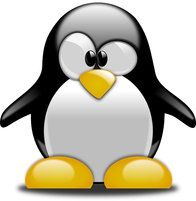 Assess Your Site’s Vulnerability To Penguin 2014