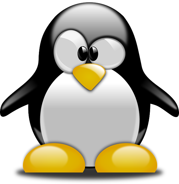 Confused Penguin