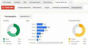 AdWords demographics