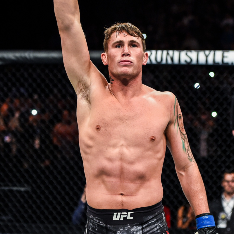 ufc fighter 209
