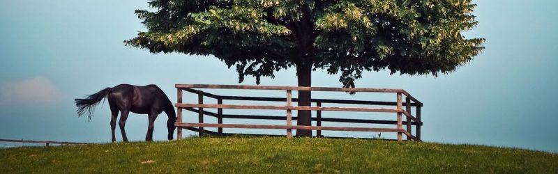 Google’s Changing SEO – Here’s How You Can Preserve Organic Traffic
