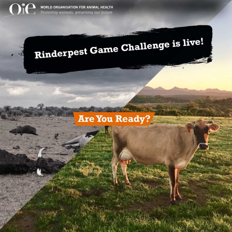 OIE rinderpest challenge is live