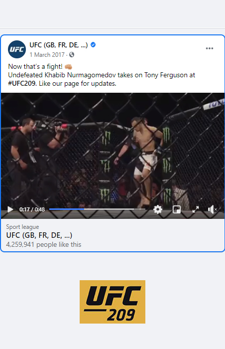 vert image ufc ads