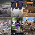 Recommended TikTokers