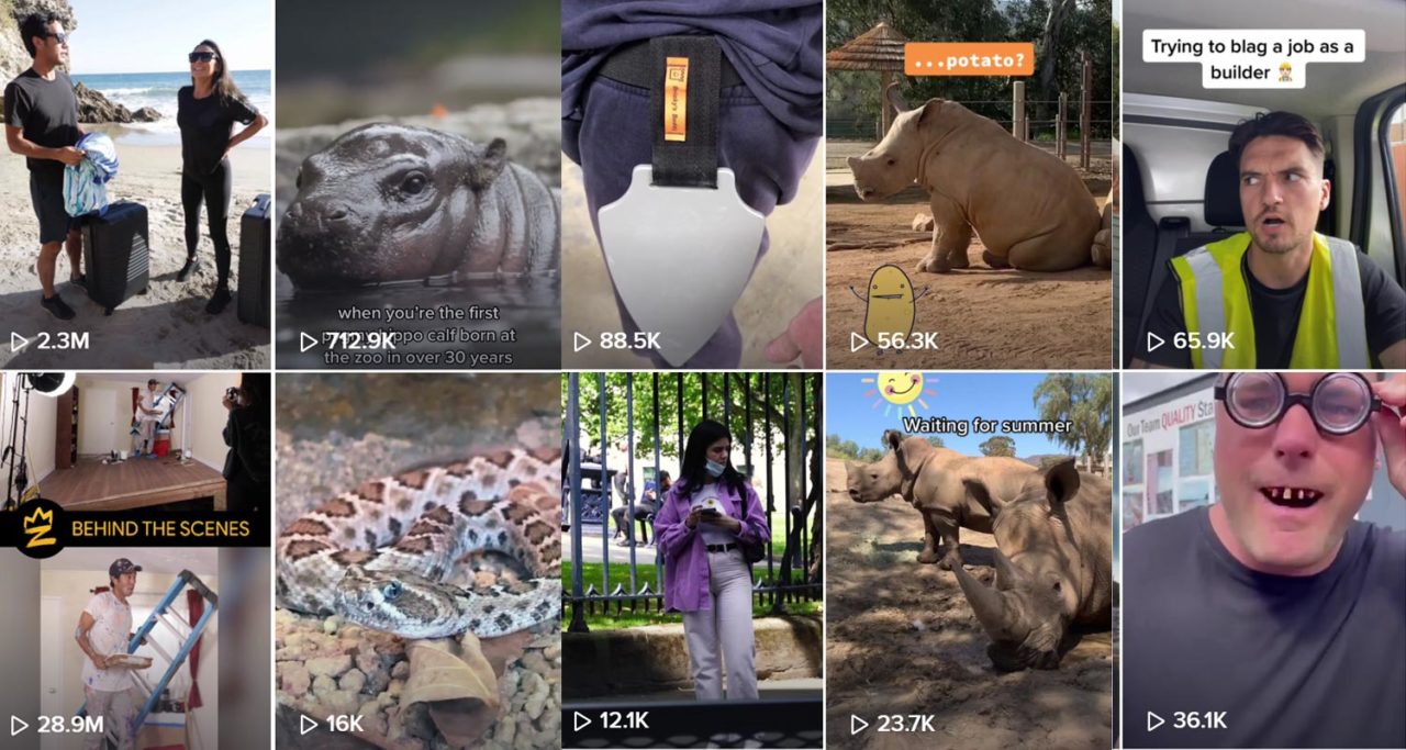 Recommended TikTokers