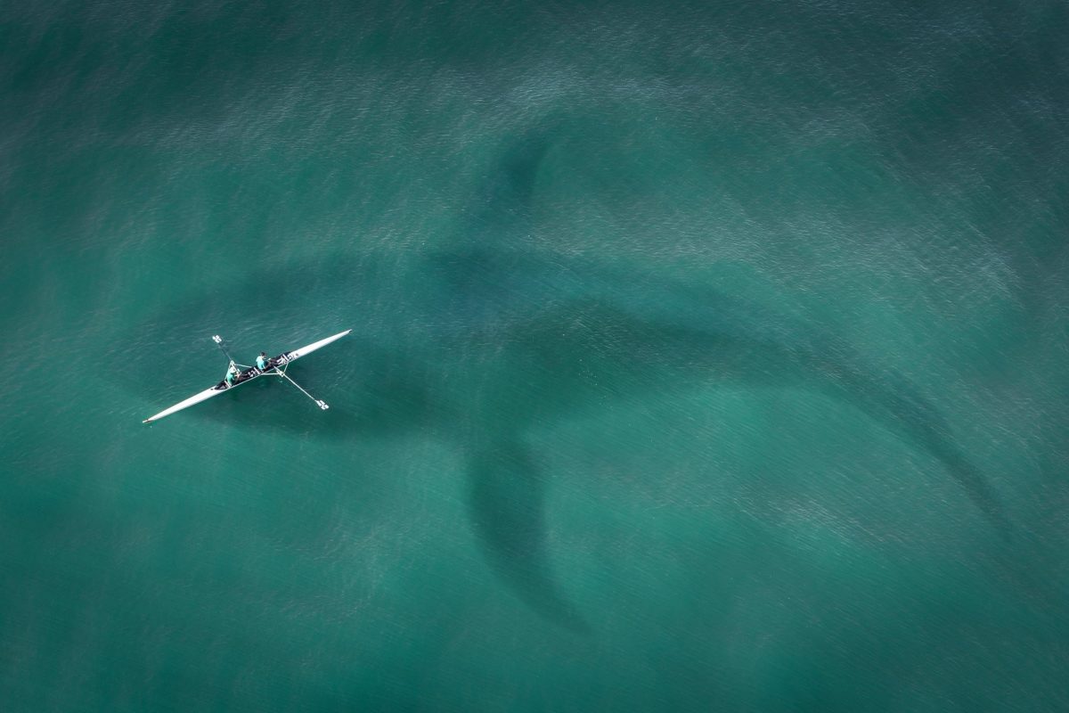 How You Should Combine SEO and PPC To Deliver a Killer B2B Campaign