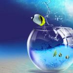 Comment se développer à l'international - Le guide essentiel du marketing numérique multilingue 3007-International-Article-2