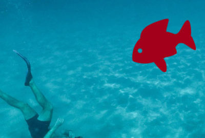 Pages - AccuraCast - tourism-seo thumbnail