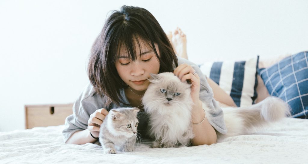 Vietnamese cat owner woman