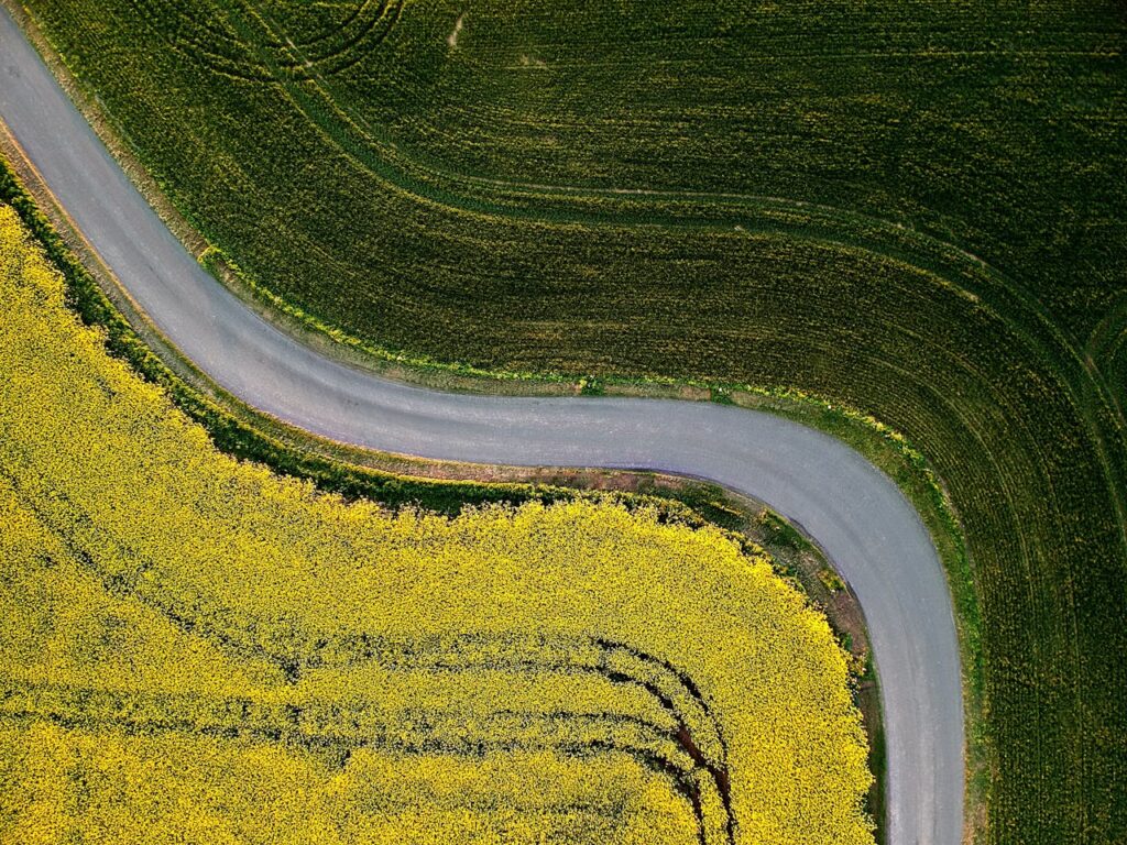 Winding road between fields