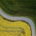 Winding road between fields