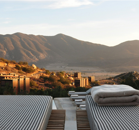 Travel & Hospitality