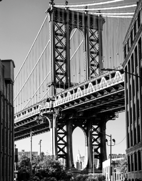 Drive conversions that matter for your business goals