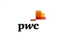 Pwc Logo