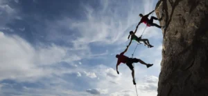 WTW: Maximising Insurance Renewal Leads WTW risk