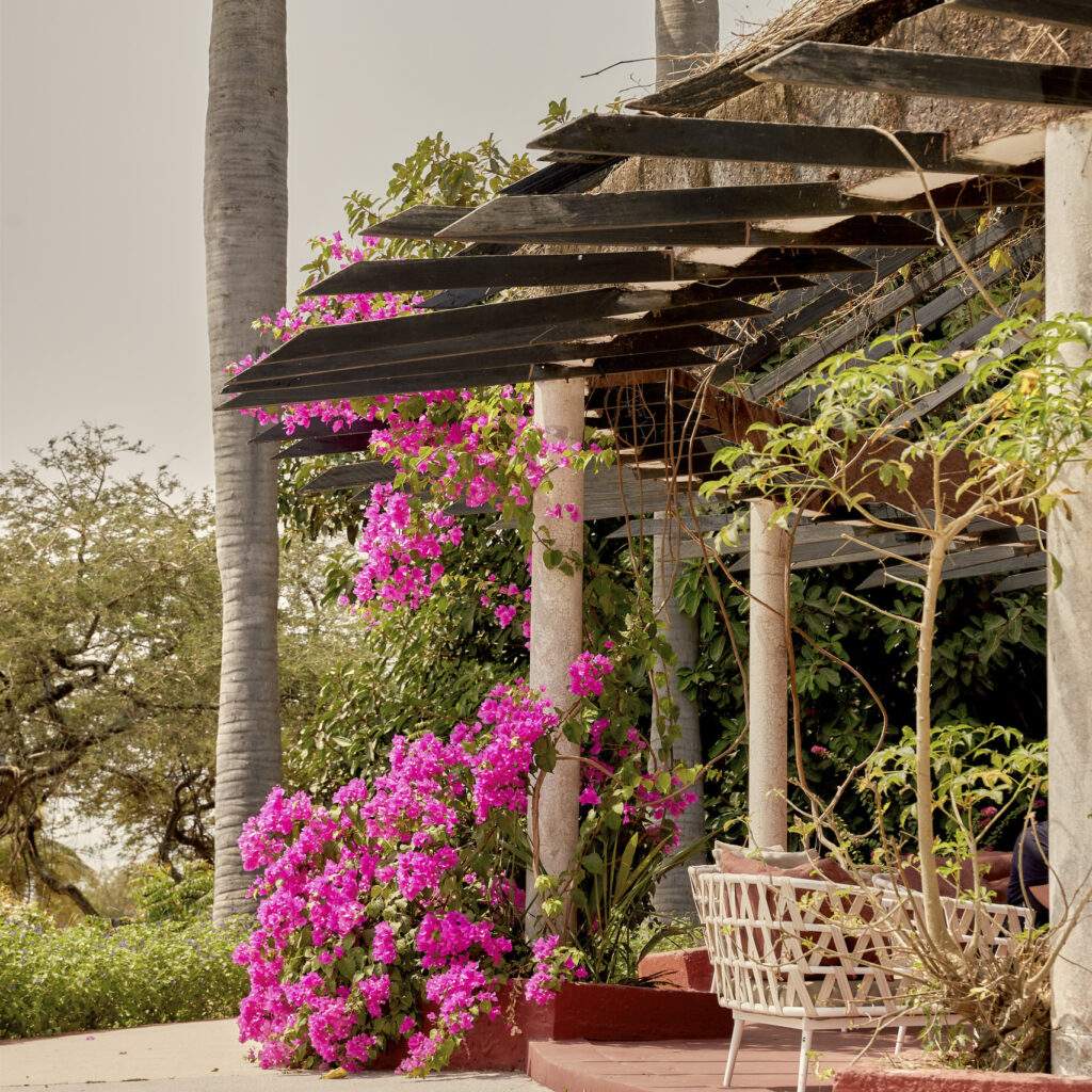 Club Med Senegal - Cap Skirring
