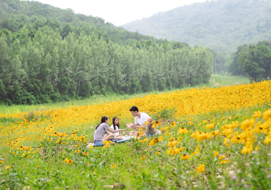 Club Med Yabuli