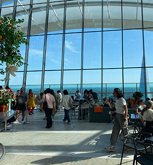View from The Sky Garden - International Growth Roundtable