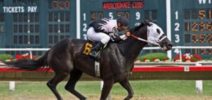 Content Marketing Strategies for Sports Betting Horse racing odds