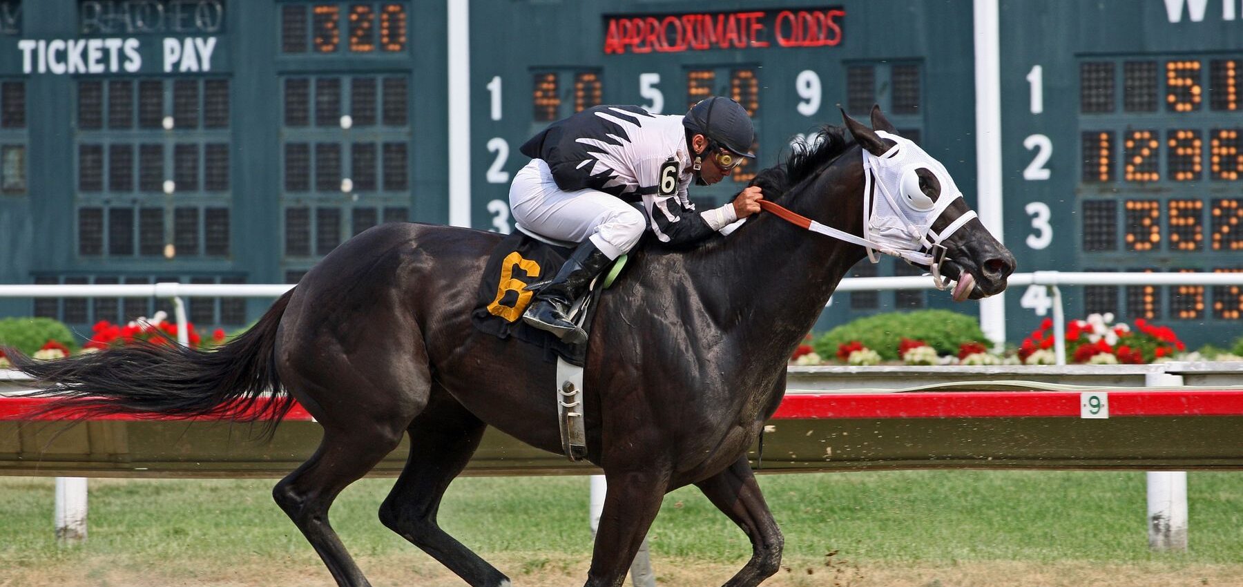 Horse racing odds