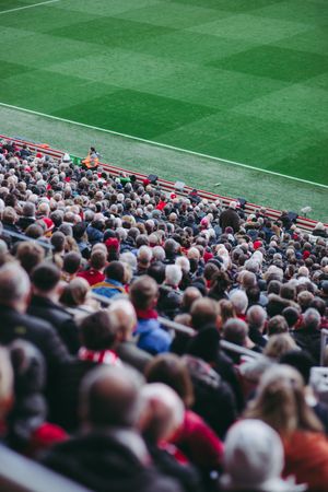 Sports fans watching a match live