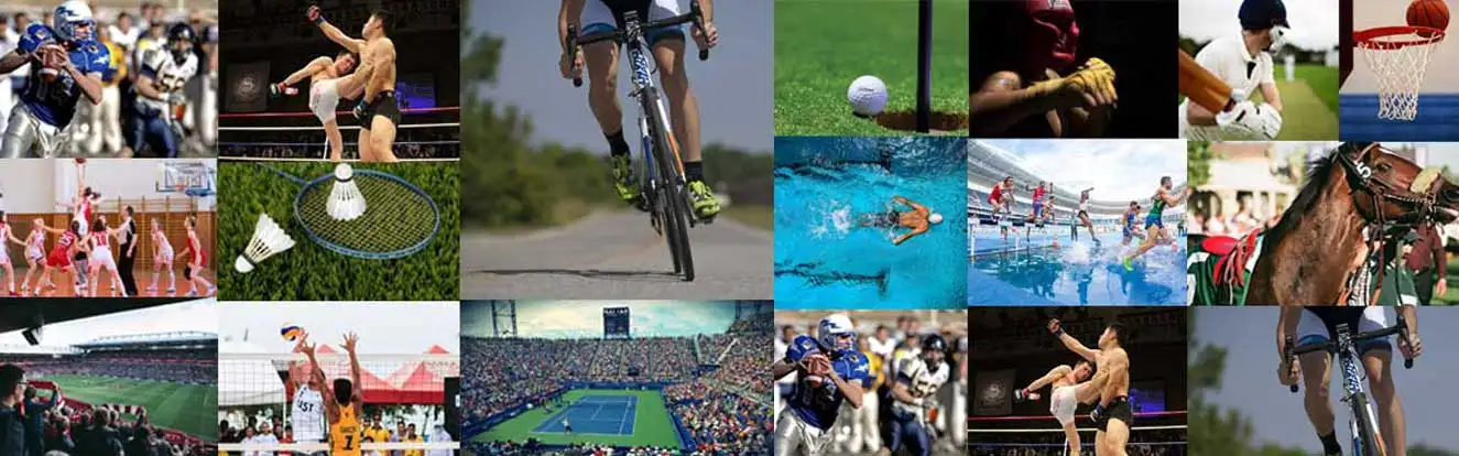 Online Multichannel Strategies for Sports Brands​