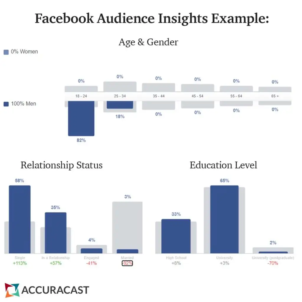 Example of Facebook Audience Insights