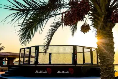 UFC Fight Island Promotion