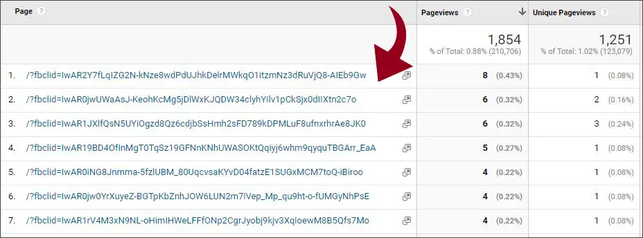 fbclid in Google Analytics page reports