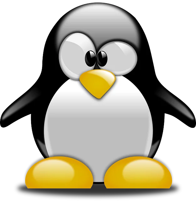 Evalúa la vulnerabilidad de tu sitio web frente a Penguin 2014