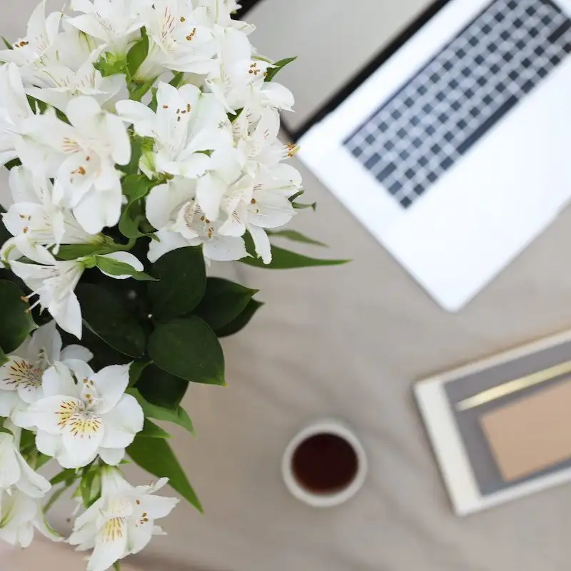 Laptop computer & flowers