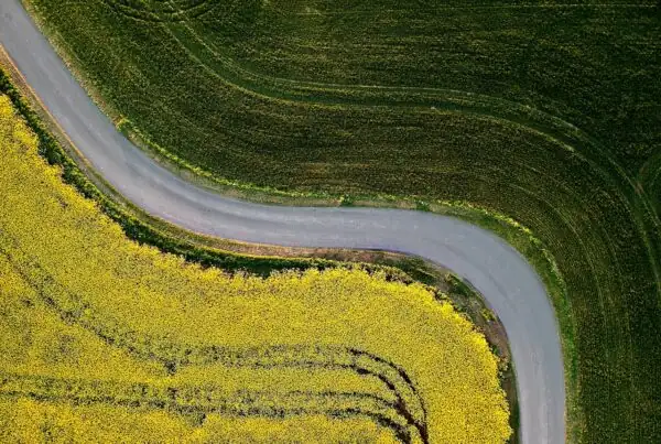 Winding road between fields